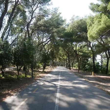 아파트 Marjan Park, - Peaceful Family Place, Free Parking 스플리트